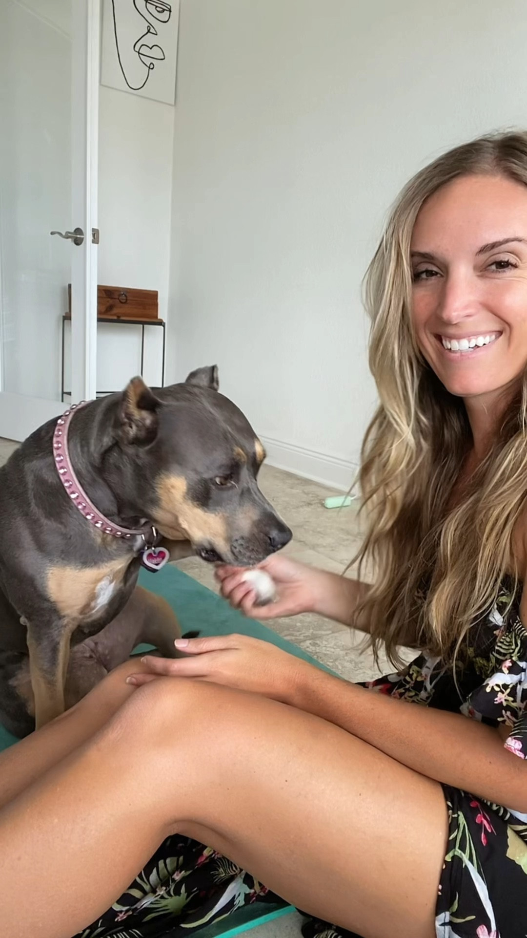 The best Durable Diamond dog collar 🐶 #pup #dogcollar #dogs 

#LTKhome #LTKunder50 #LTKfamily