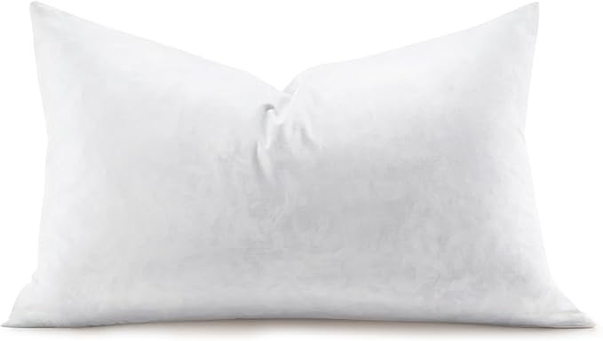 Feather Rectangle Lumbar Pillow Insert, Soft Fluffy 12 x 20 Inches Decorative Throw Pillow Insert... | Amazon (US)