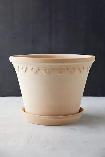 Bergs Palace Pot + Saucer | Anthropologie (US)