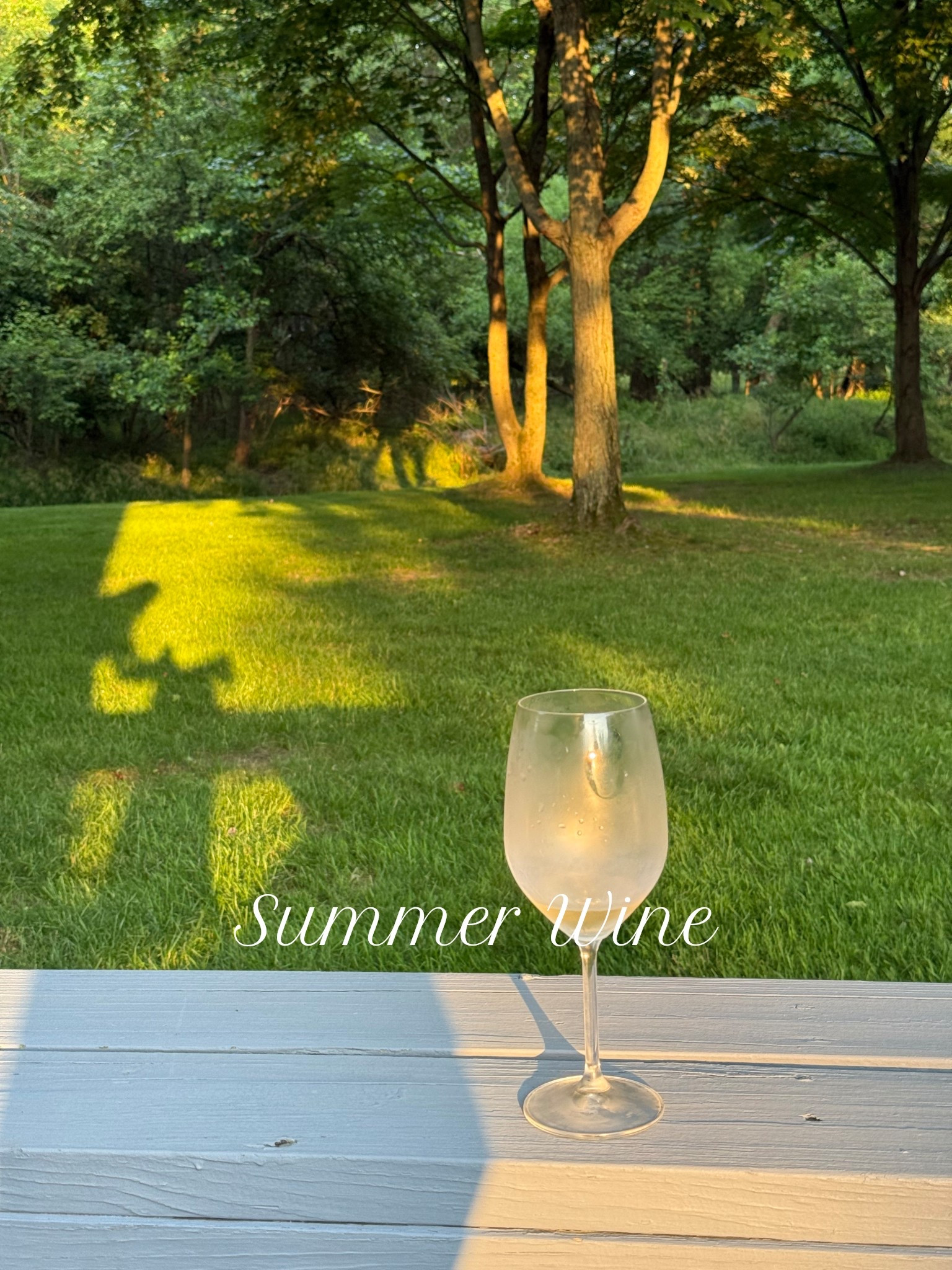 All the wine I shipped to Ohio for the summer.