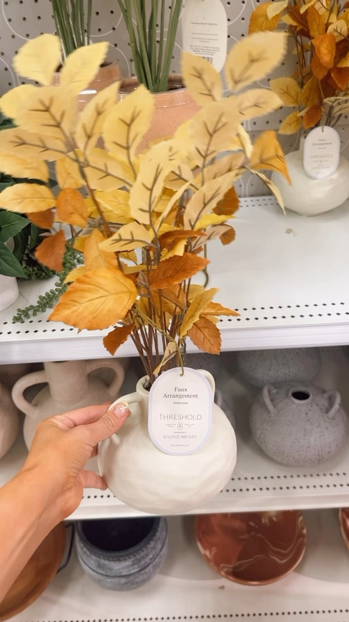 The perfect fall centerpiece!🍂

Target decor, home decor, fall decor, affordable decor, fall foliage 

#LTKHome #LTKSeasonal