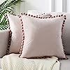 Top Finel Decorative Throw Pillow Covers for Couch Bed Soft Particles Velvet Solid Cushion Covers... | Amazon (US)