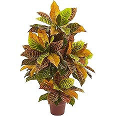 Nearly Natural 36in. Croton Artificial Plant (Real Touch) | Amazon (US)