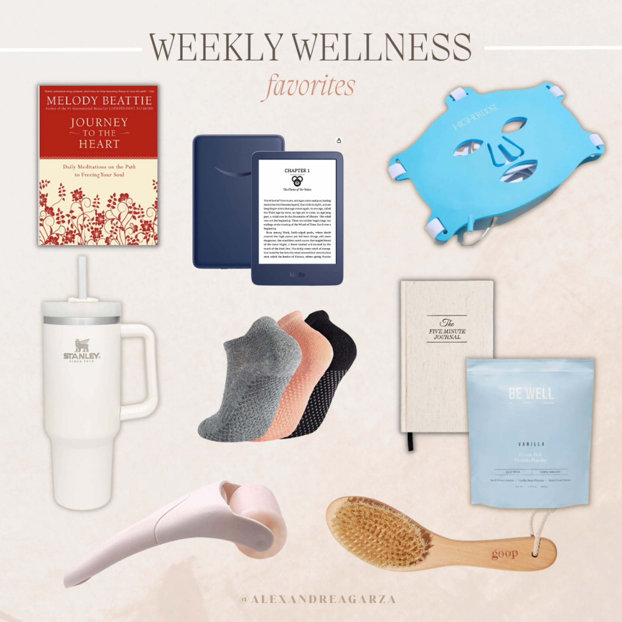 Wellness favorite, protein powder, journals, meditation, dry brush, Stanley 