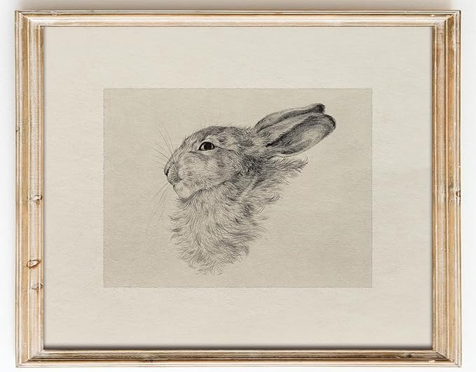 Kizbok Neutral Wall Art Decor, Vintage Rabbit Canvas Painting, Farmhouse Decor Bunny Sketch Drawi... | Amazon (US)