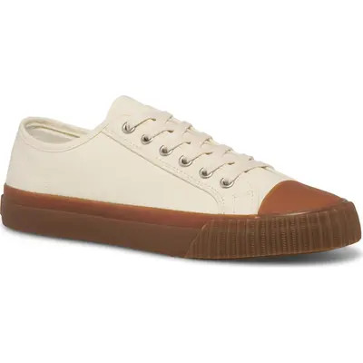 P.F. Flyers Center Low-Top Sneaker in Sea Salt at Nordstrom, Size 8.5 | Nordstrom