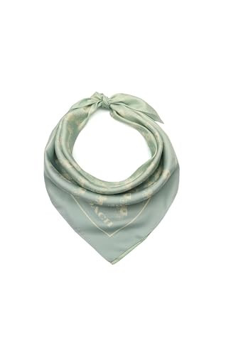 Coach Horse and Carriage Ombre Printed Silk Square | Amazon (US)