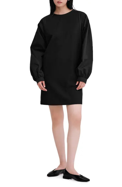 Marcella Patti Long Sleeve Dress in Black at Nordstrom, Size Small | Nordstrom