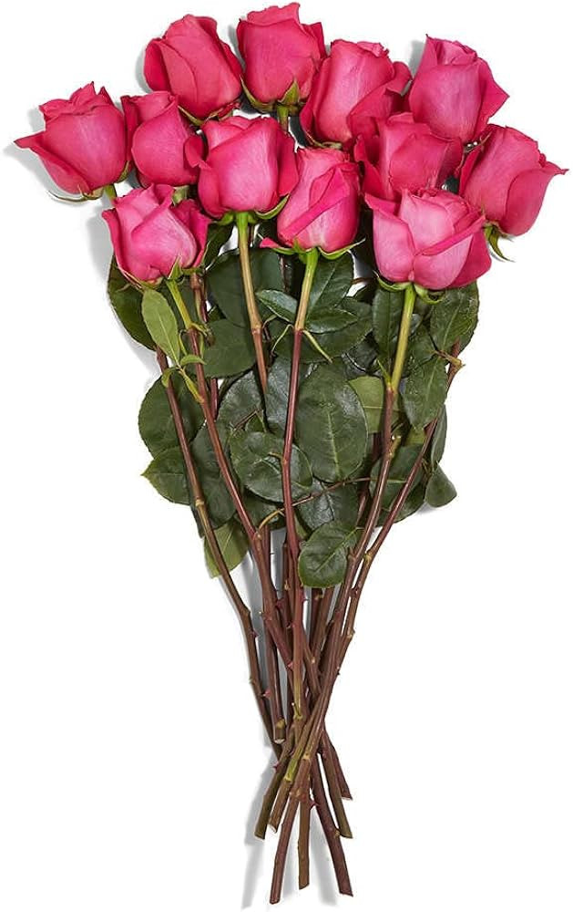 Floral Roses 12 Stem, 1 EA | Amazon (US)
