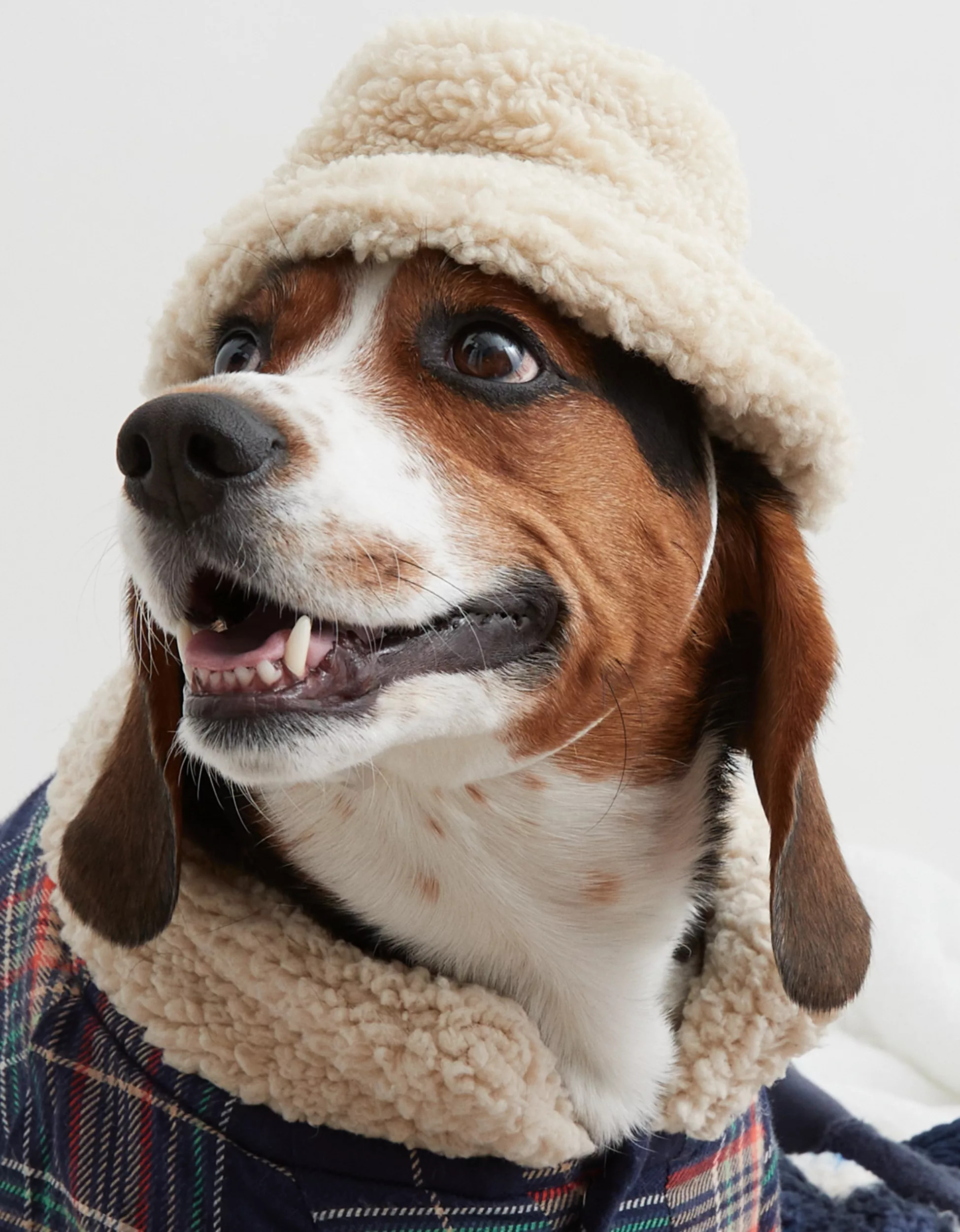 OFFLEASH By Aerie Pet Sherpa Bucket Hat | Aerie