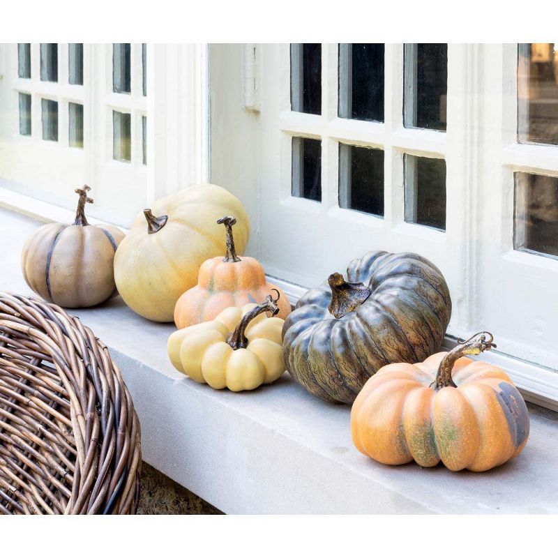 Park Hill Collection "Le Potiron" French Pumpkin Collection | Target