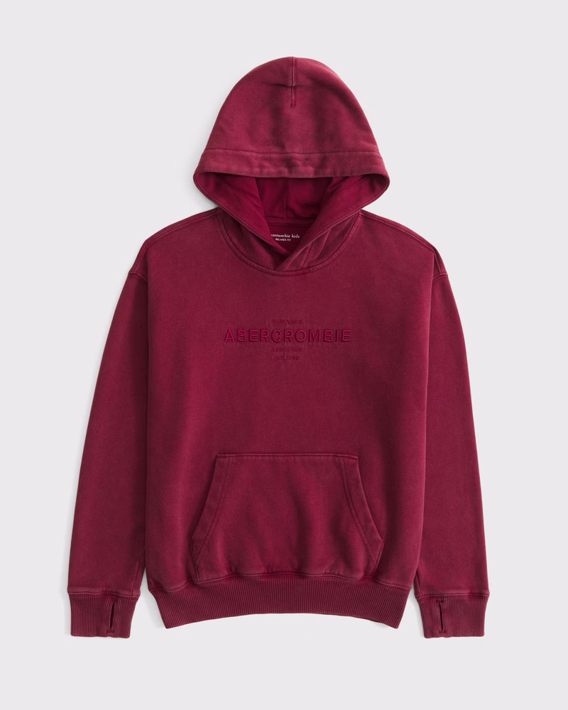 logo popover hoodie | Abercrombie & Fitch (US)