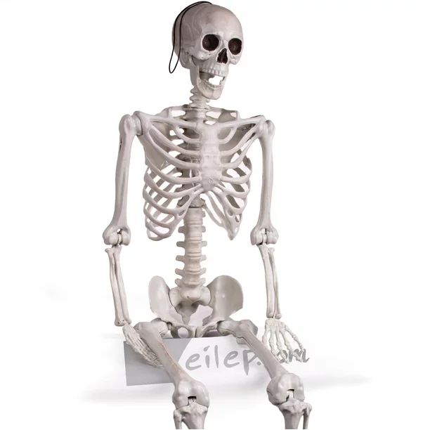 60" Posable Skeleton Halloween Decoration - Walmart.com | Walmart (US)