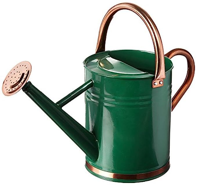 Gardman 8327 Hunter Green Galvanized Steel Watering Can with Copper Accents, 1-Gallon | Amazon (US)