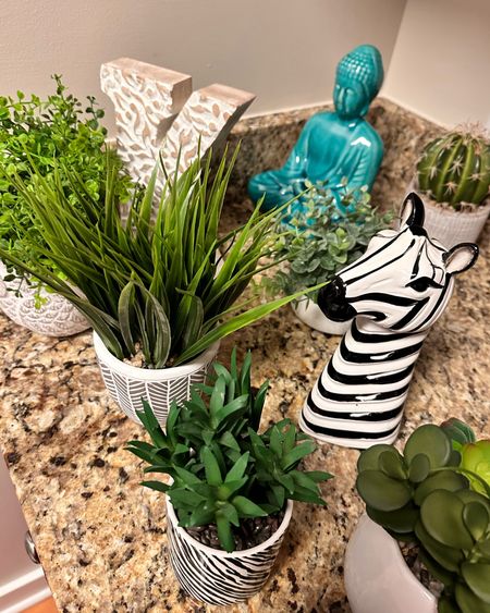 Fav Home Decor Succulents 

#LTKhome #LTKfamily #LTKFind