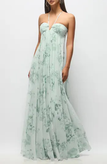 Lilith Floral Chiffon Gown | Nordstrom