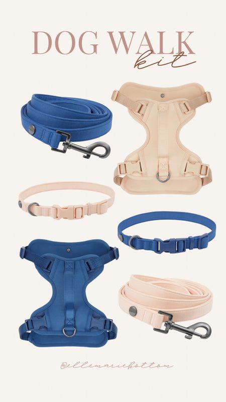 Dog walk kit on Chewy! Looks very similar to the Wild One walk kit 🐶🦴🐾 

#LTKfitness