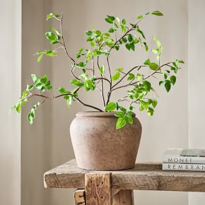 Faux Potted Bursera Plant | West Elm (US)