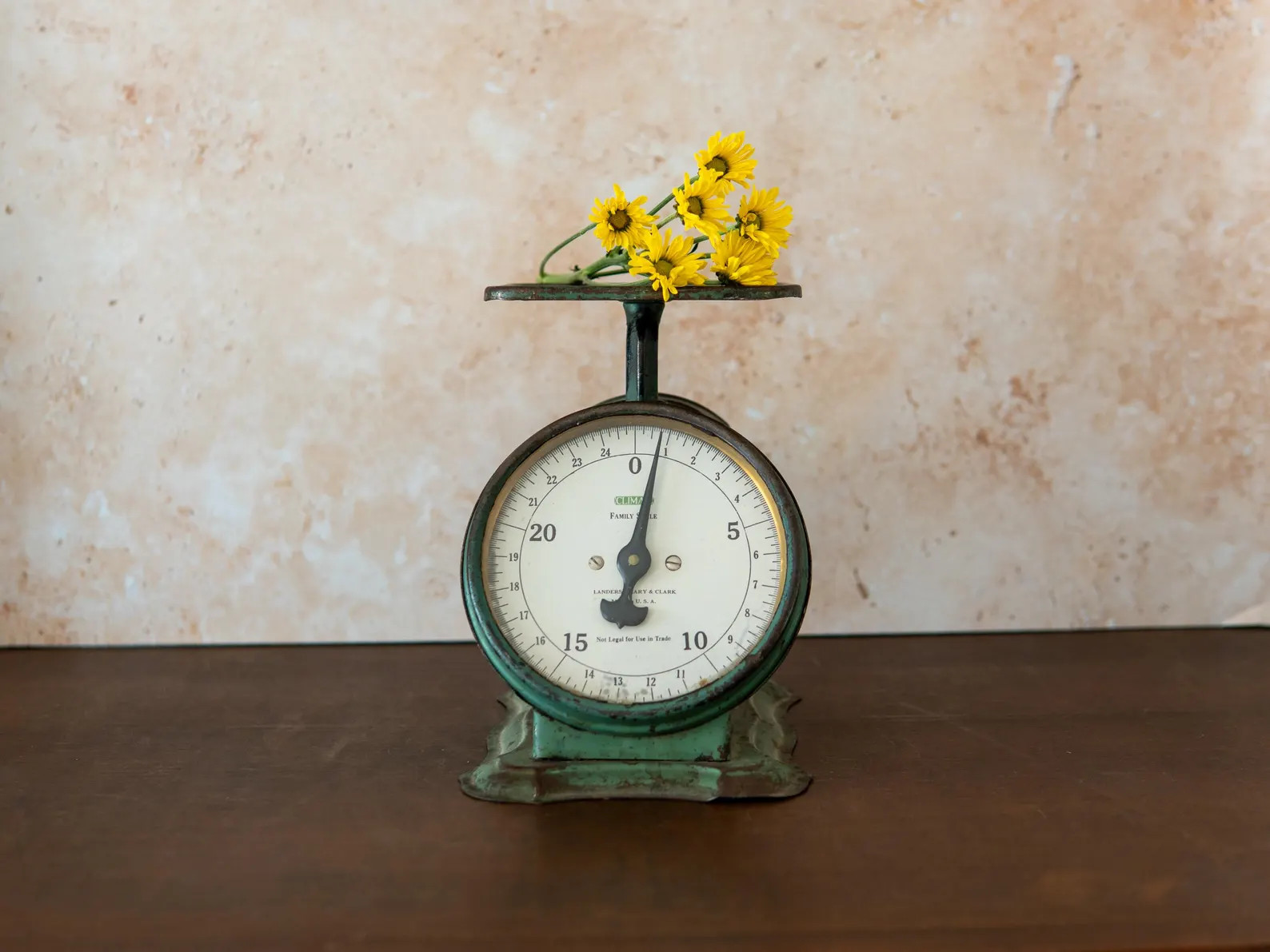 Antique Green Kitchen Scale: Early 1900s Primitive Collectible With Patina, Landers Frary & Clark... | Etsy (US)