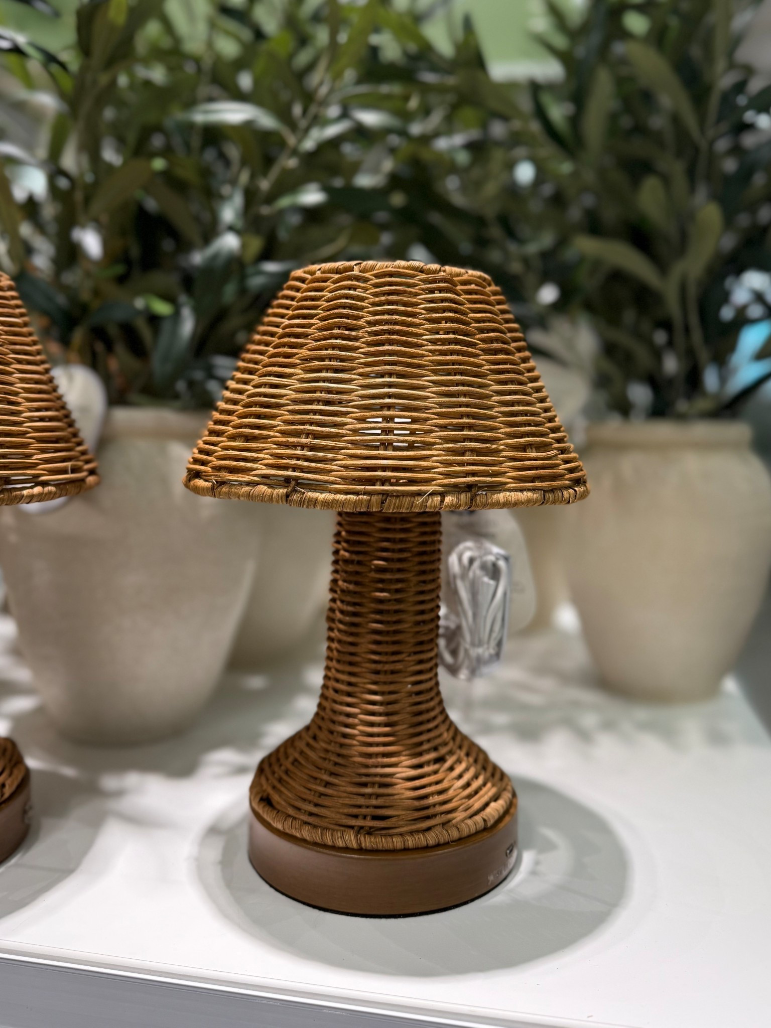 Cutest mini cordless lamp only $25

#LTKSaleAlert #LTKFindsUnder50 #LTKHome