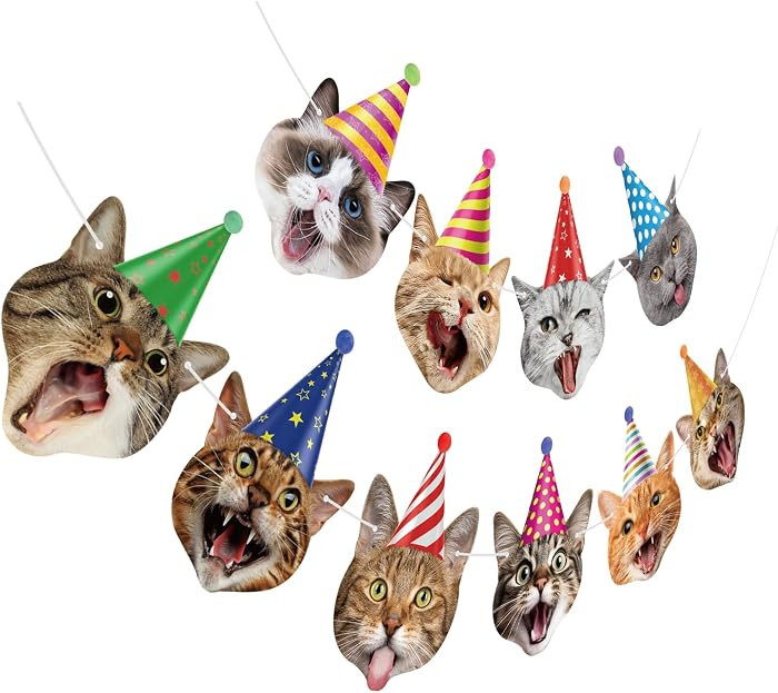 Cat Face Theme Birthday Party Decorations Cat Happy Birthday Banner Garland Funny Banner Decor fo... | Amazon (US)