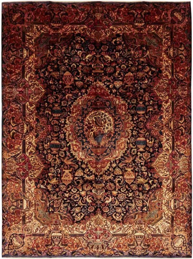 Solo Rugs Kashmar Hand Knotted Area Rug, 9' 5" x 13' 0" | Amazon (US)