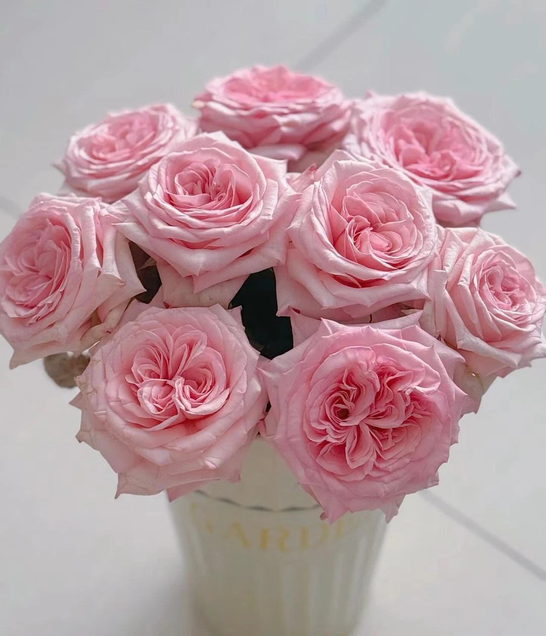 French Pink Florist Rose Strong Fragrant Rose Live Plant, 6 Inch Ownroot - Etsy | Etsy (US)