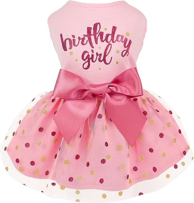 Birthday Girl Dog Tulle Dress, Dog Clothes for Small Dogs Girl, Cat Apparel, Pink, XX-Small | Amazon (US)