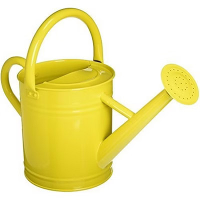 Gardener's Select Classic Metal Gardening Watering Can, Lemon, 0.92 Gallon | Target