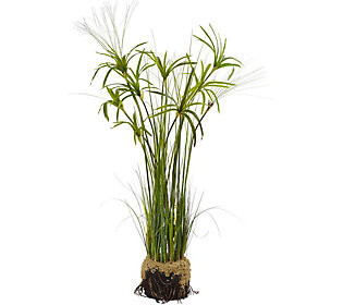 Papyrus Plant with Faux Soil by Nearly Natural | QVC