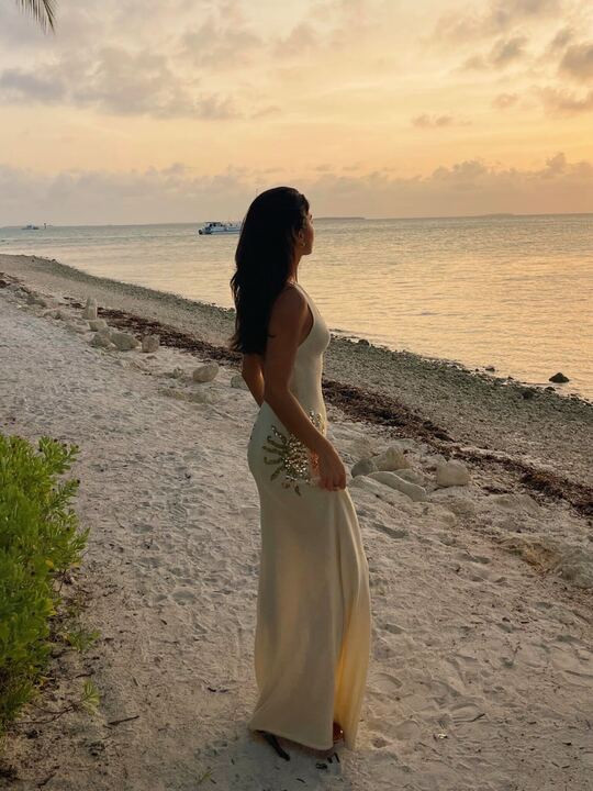 [5/12/26] bachelorette night one: golden hour ✨ dress is seethrough so definitely wear nip covers / a slip if wanted! I was comfortable with the top half and for bottom I wore a high-waisted nude thong. Code for anything meshki is VIVIANEMESHKII 

 #LTKootd #LTKTravel #LTKWedding