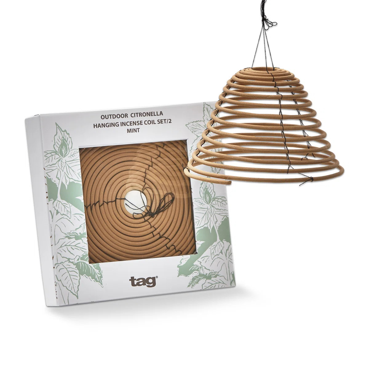 Mint Citro Hanging Coil S/2 (Set of 2) | Wayfair North America