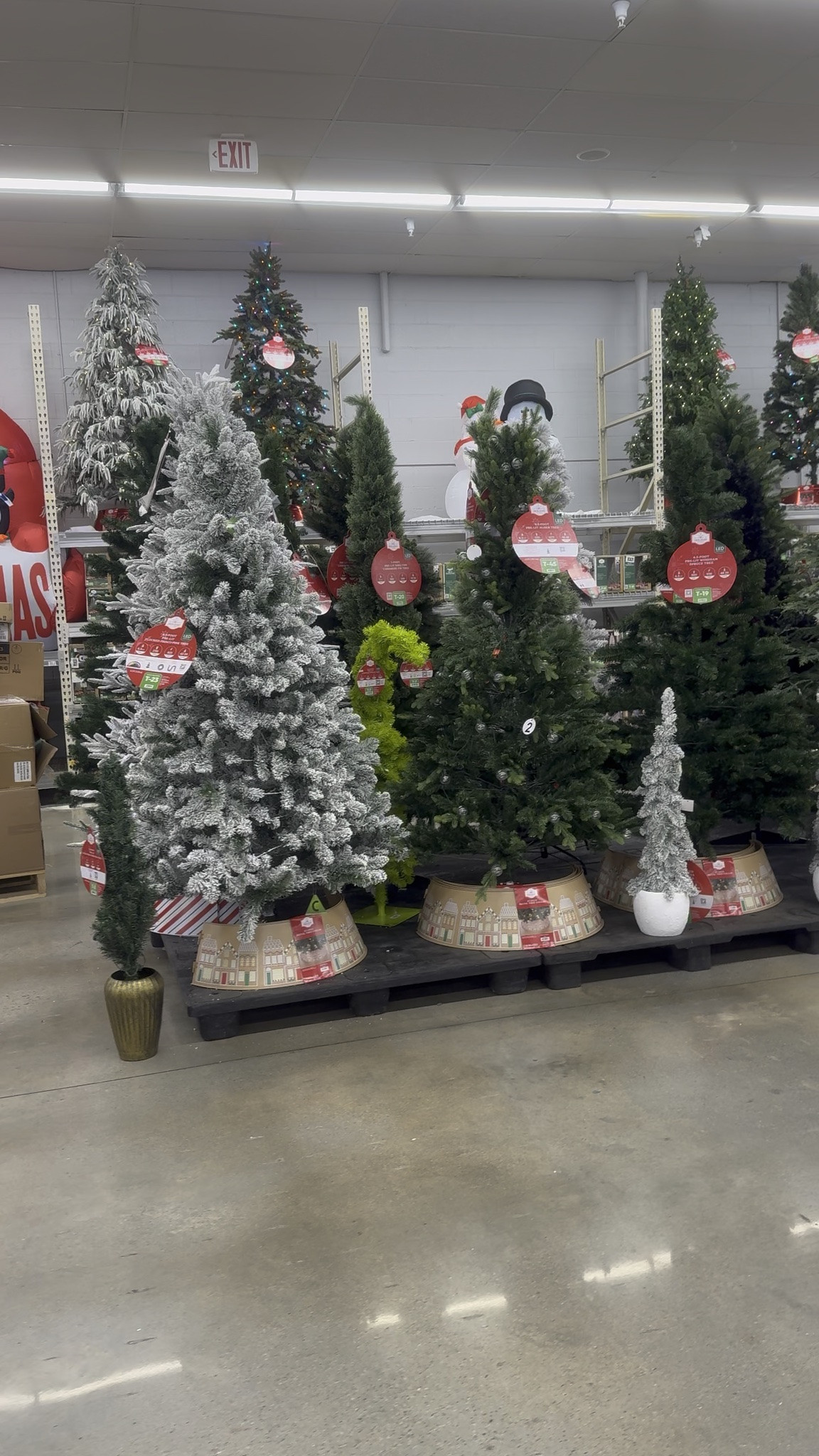 CHRISTMAS TREES ARE HERE AT WALMART! 🎄❤️✨

BABY, IT’S OFFICIALLY TIME TO START THINKING ABOUT CHRISTMAS DECOR! 😍 Walmart has their Christmas trees OUT and there are SO many cute options already!

I’m ready to decorate and I already have my eye on a few! 😂🎄

🛍️ I LINKED MY FAVORITE WALMART CHRISTMAS TREES ON MY LTK! GO SHOP MY PICKS!

#WalmartFinds #ChristmasTrees #ChristmasDecor #LTKFinds