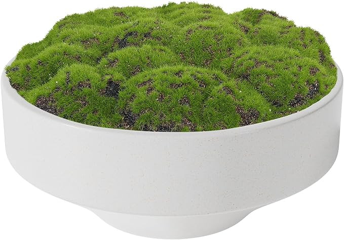 NAHARO New Moss Handmade Ceramic Bowl - 11" Artificial Moss Bowl Centerpiece for Home Decoration,... | Amazon (US)