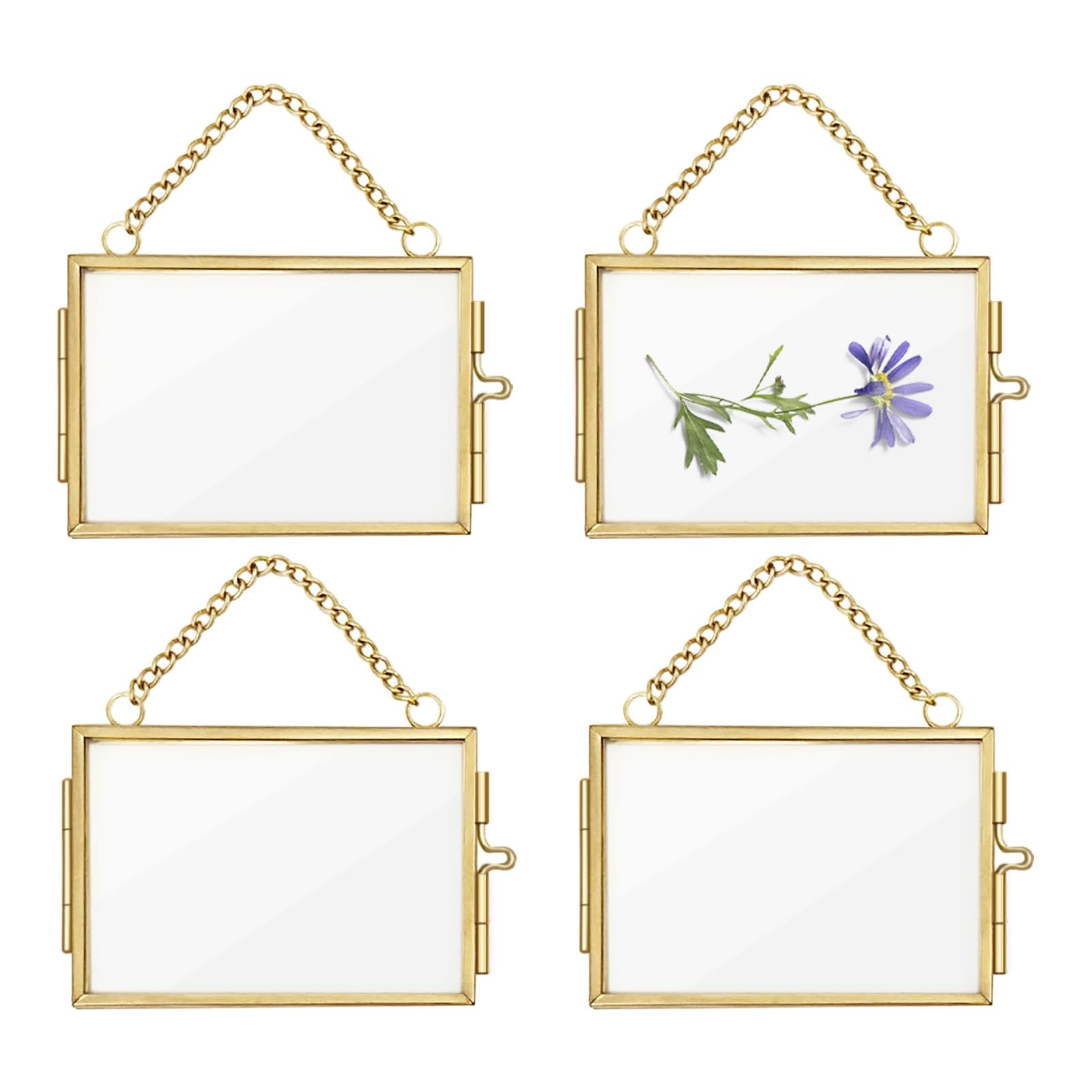 4Pcs Double Glass Frame for Pressed Flowers, 2x3 inch Picture Frame Mini Brass Wall Hanging Photo... | Amazon (US)