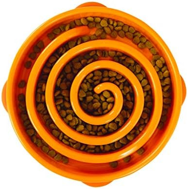 Outward Hound Fun Feeder Slo Bowl, Slow Feeder Dog Bowl, Large/Regular, Orange | Amazon (US)