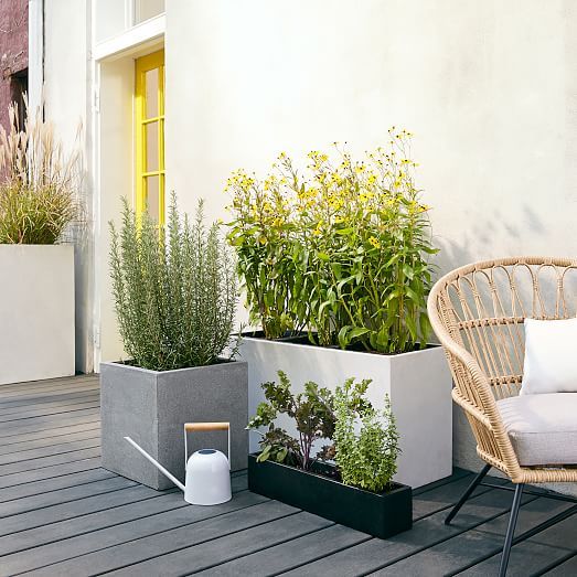 Cityscape Indoor/Outdoor Tabletop Planters | West Elm (US)