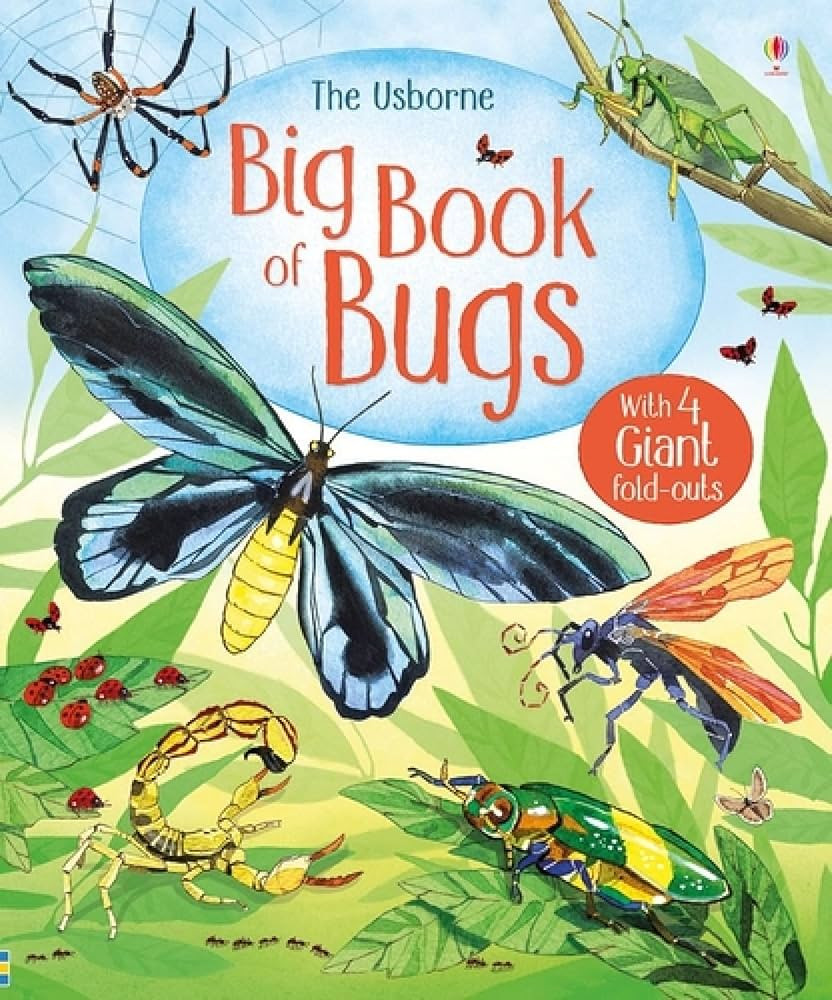 BIG BOOK OF BUGS | Amazon (CA)
