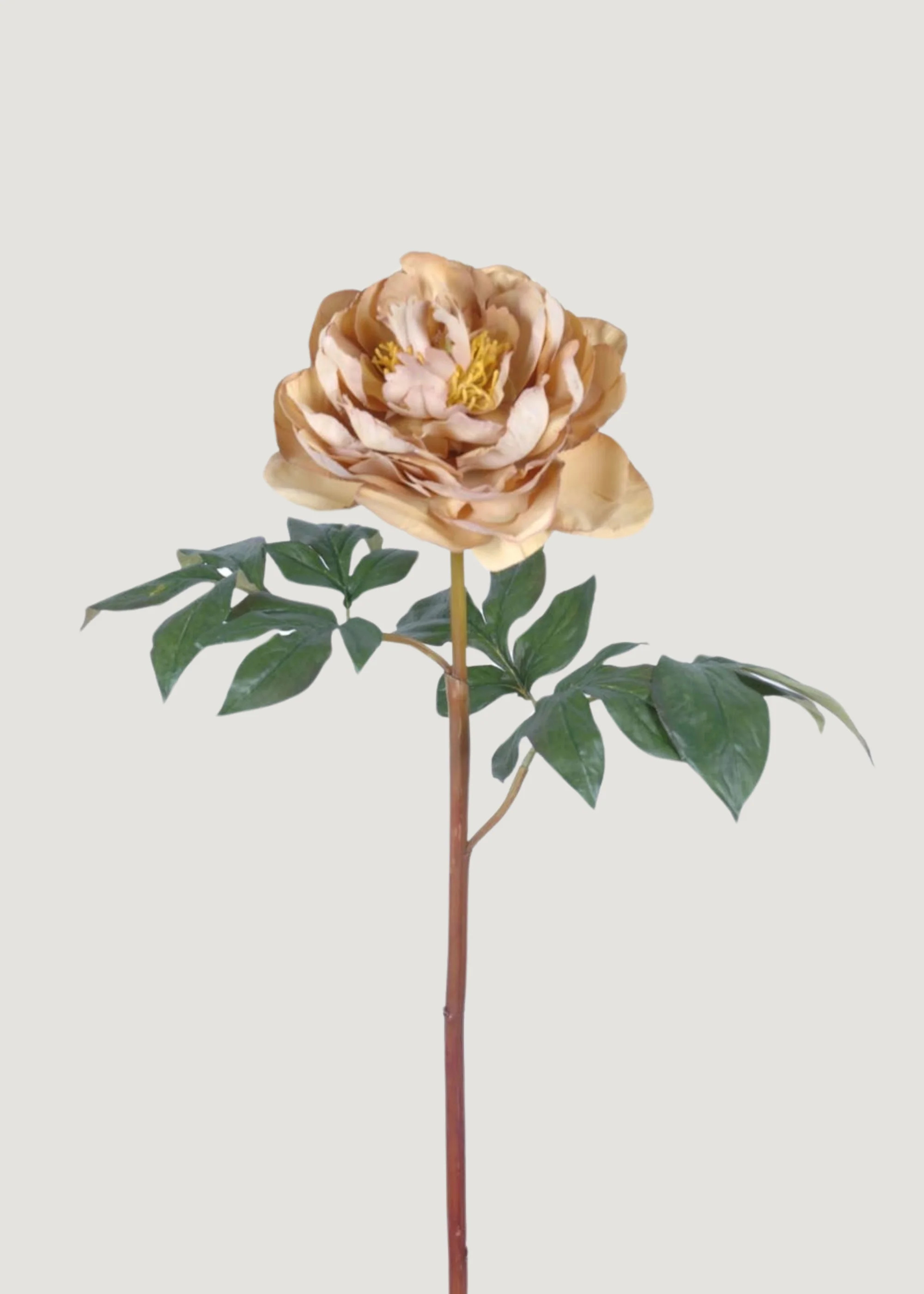 Peony Stem in Autumn Mustard | Faux Fall Flowers at Afloral | Afloral
