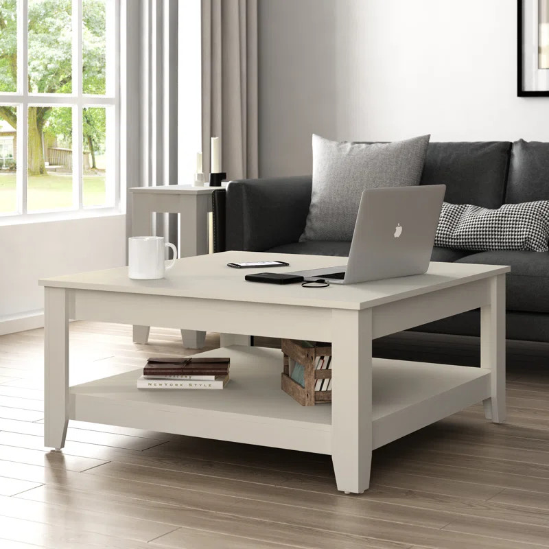 Lark Manor Weddel Basilico Coffee Table with Storage | Wayfair | Wayfair North America