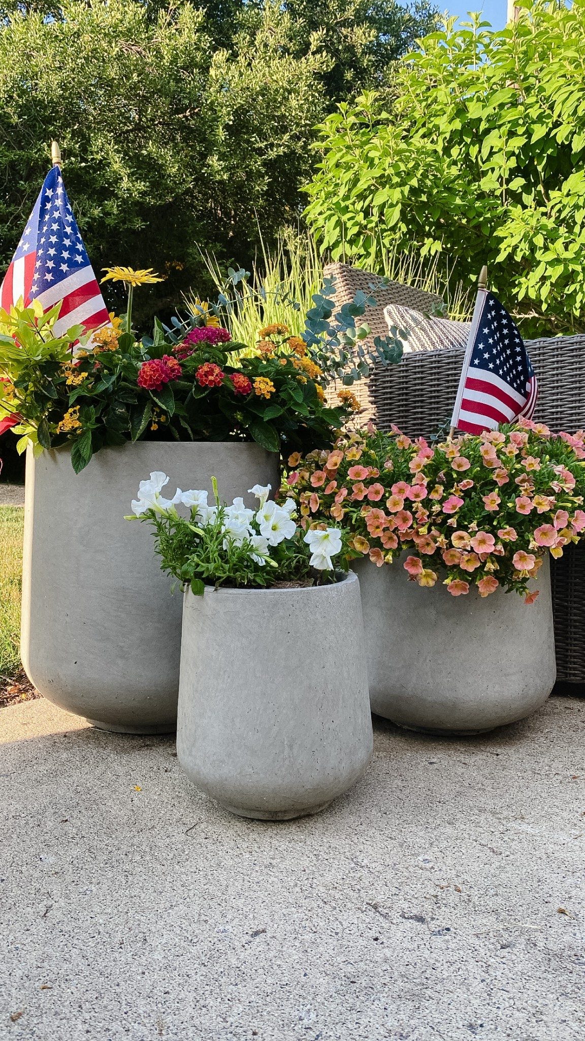My favorite flower pots are on sale! 

#flowerpot #ceramicpot #outdoorflowers 

#LTKSeasonal #LTKSaleAlert #LTKSummerEdit