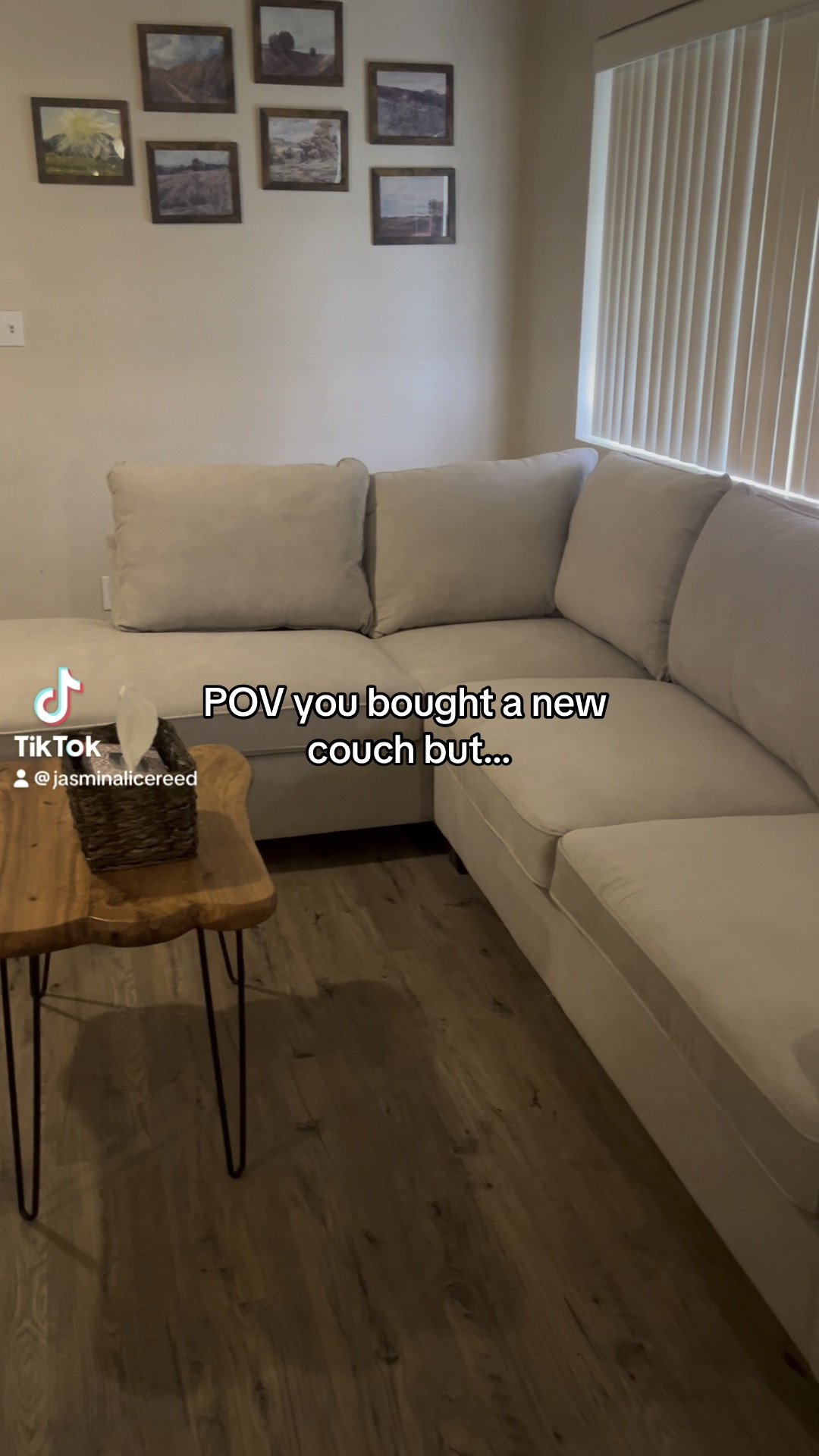 Trying everything I can keep this couch from getting shredded😅

#LTKHome #LTKFamily #LTKVideo