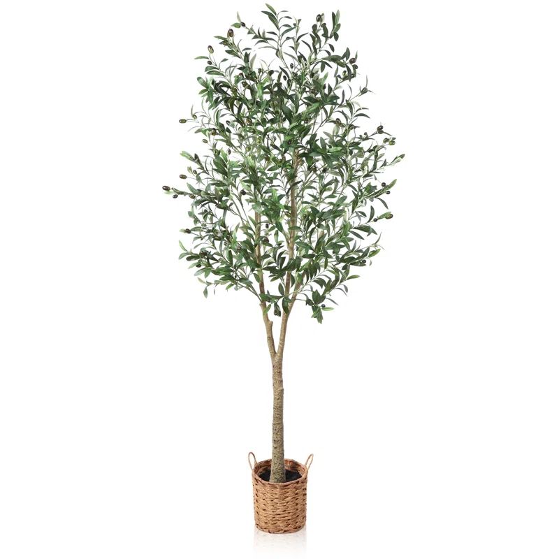 Adcock Faux Olive Tree in Rattan Basket | Wayfair North America