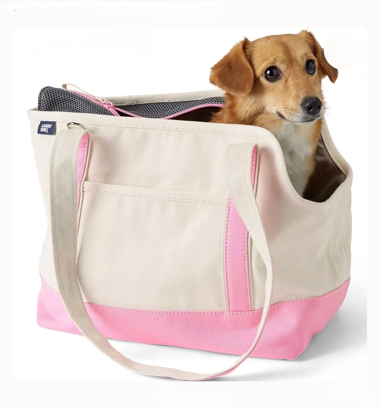 Canvas Dog Tote Carrier

Inspired by our famous Canvas Tote, the Canvas Dog Carrier provide the small dog a comfy home away from home

#LTKSeasonal #LTKmomlife #LTKActive