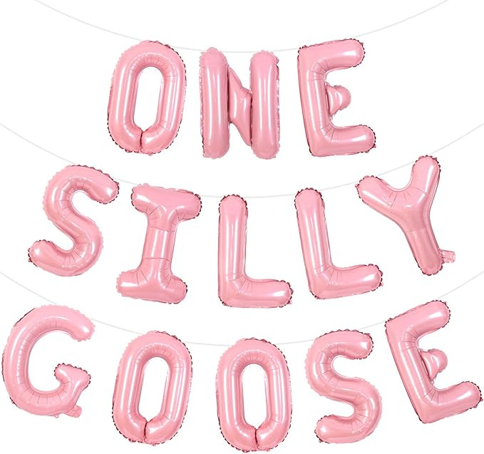 Goose First Birthday Decorations for Girl Pink One Silly Goose Balloon Banner Silly Geese Birthda... | Amazon (US)