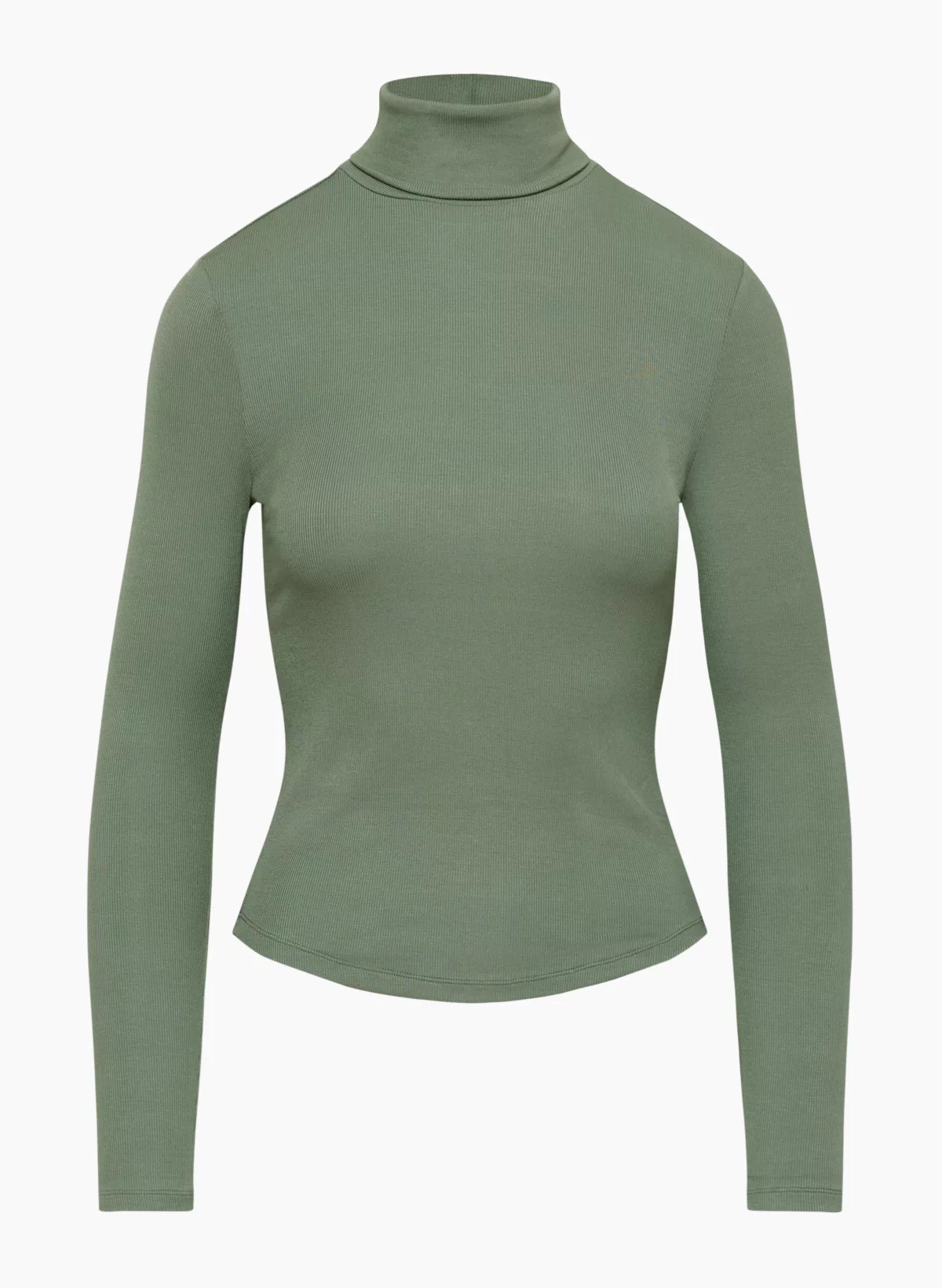 FRESHMAN TURTLENECK | Aritzia
