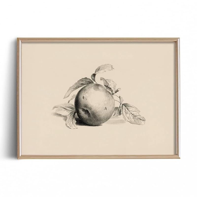 Apple Fruit Art Print Poster - Kitchen Apple Still Life Drawing Etching Rustic Picture - Vintage ... | Amazon (US)