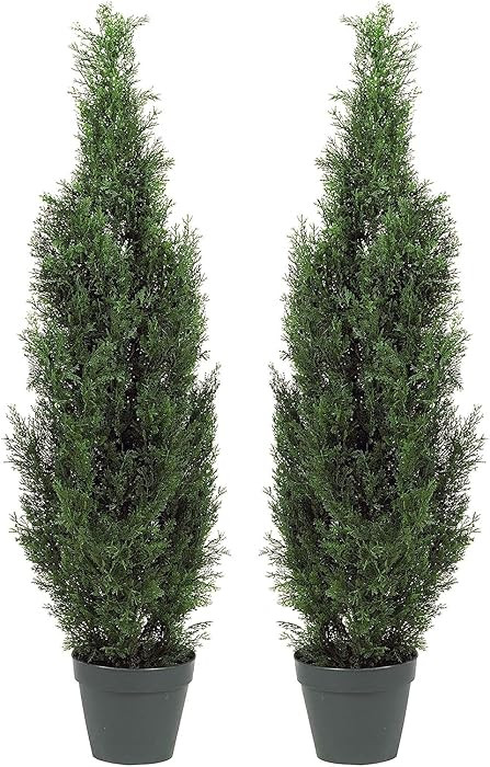 Two Pre-Potted 3' Artificial Cedar Topiary Outdoor Indoor Tree | Amazon (US)
