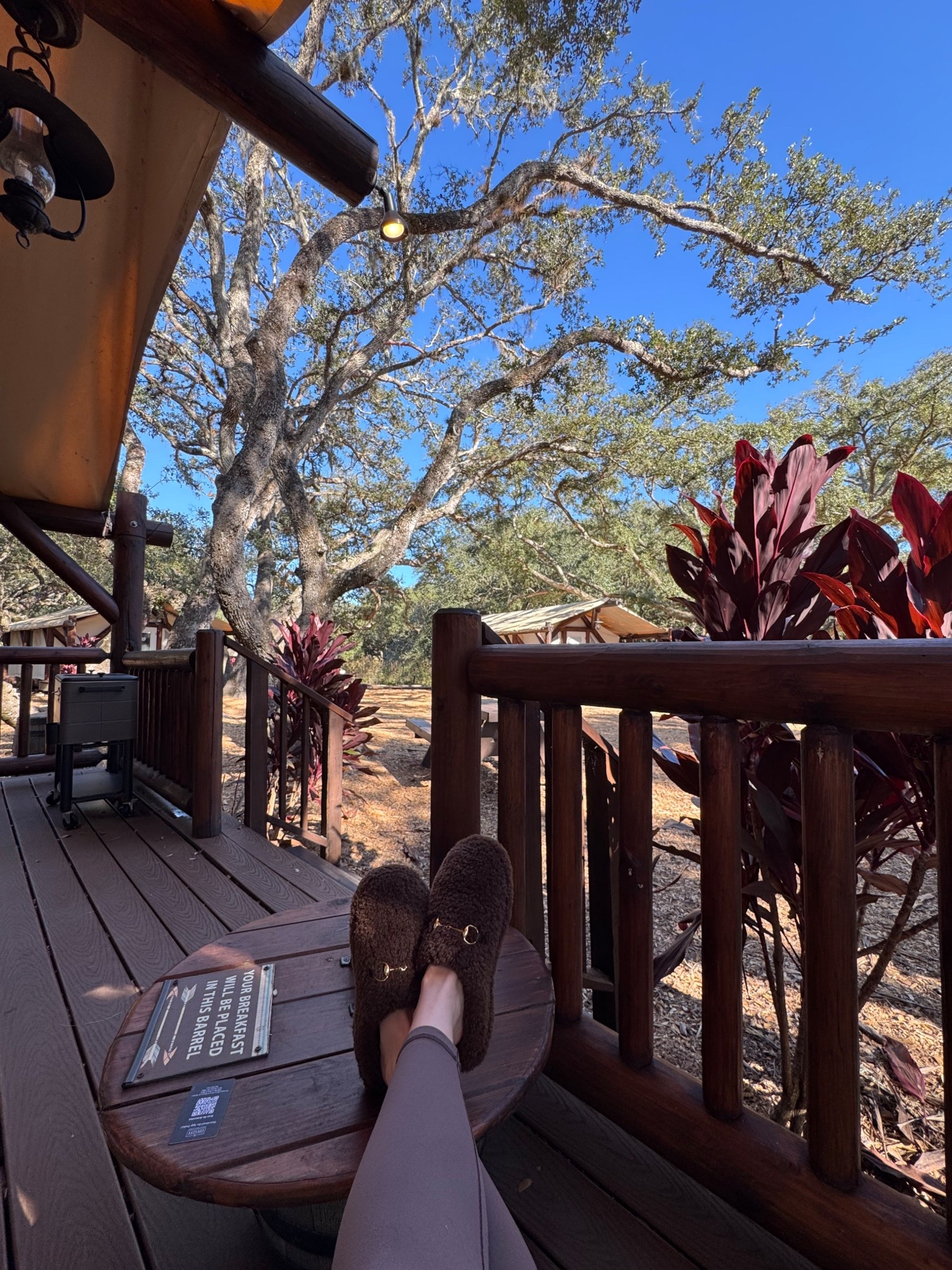 Glamping essentials / cozy horse bit slippers 🐴🤎✨

#LTKmomlife #LTKHoliday #LTKGiftGuide