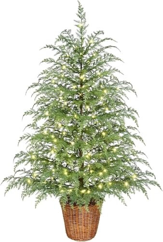 My Texas House Christmas Tree,2/3 Feet Plant Fertilizer Indoor Potted Plants,Cypress Christmas Tree with Lights for Office Apartment Entryway Indoor Use (24in) | Amazon (US)